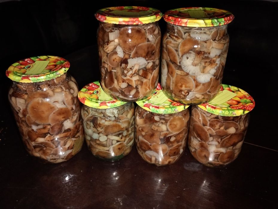 Опеньки консервовані