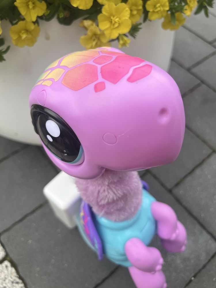 Żółw Cobi Little Live Pets
