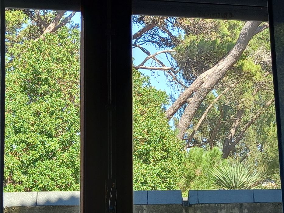 Apartamento na praia (tudo incluído)