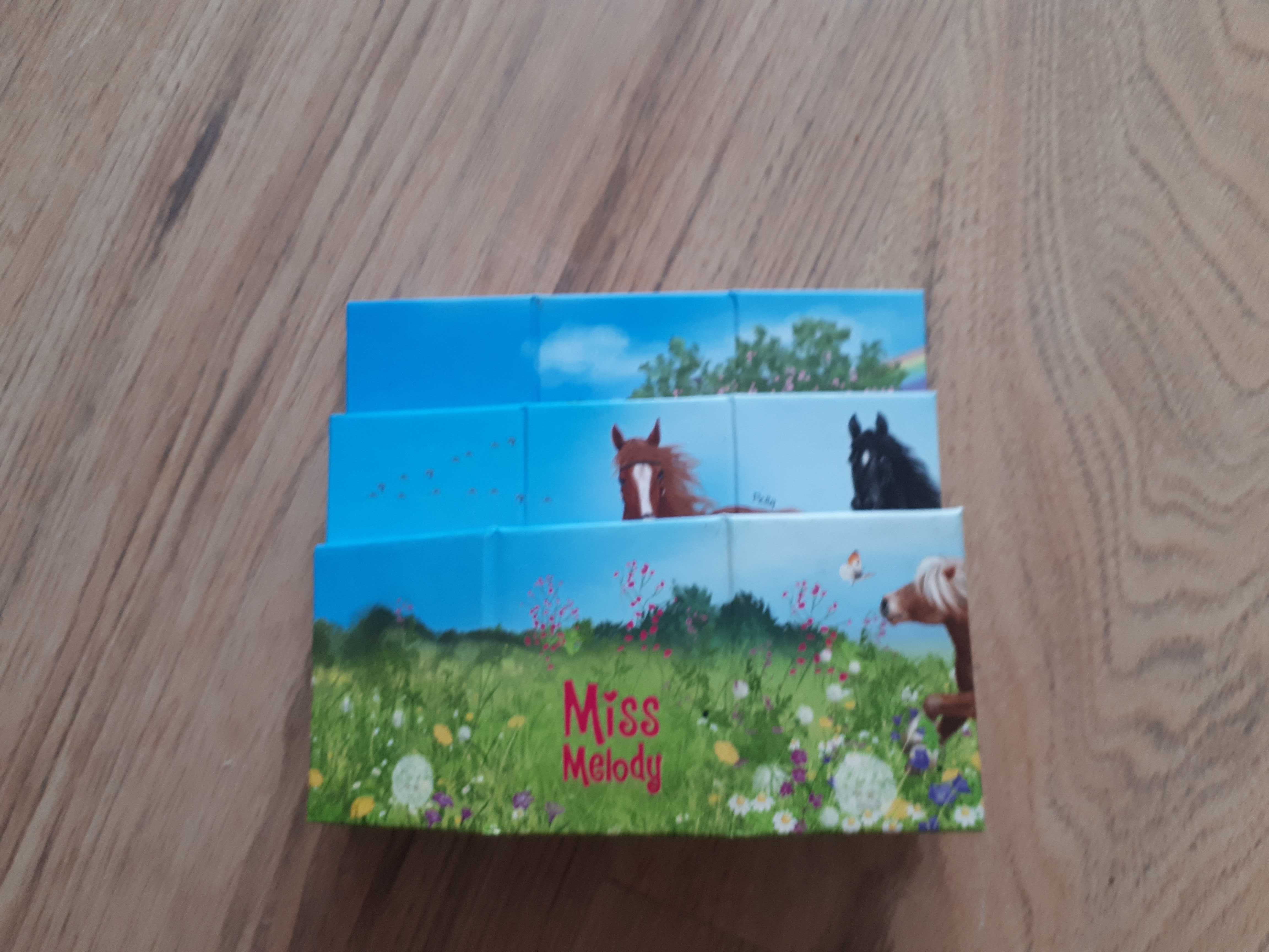 Pojemnik przybornik organizer na kredki Miss Melody