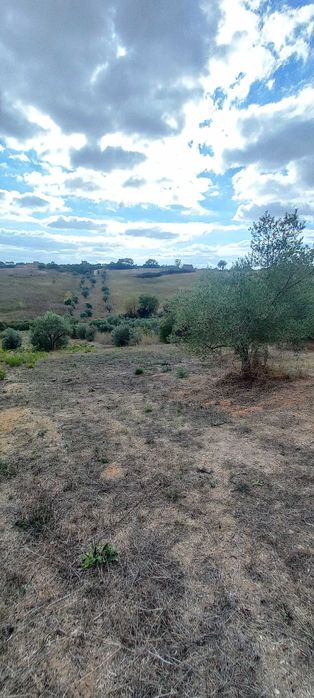 Moradia com Projecto Aprovado