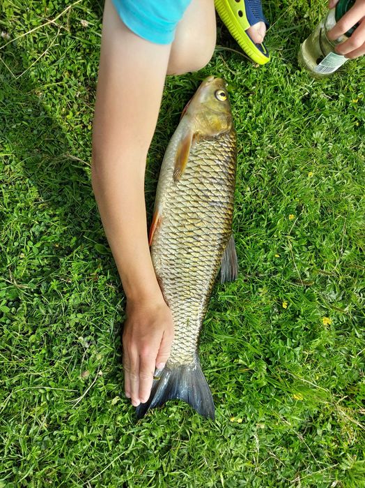 Domek do wynajęcia z sauną i z kominkiem I tyrolką