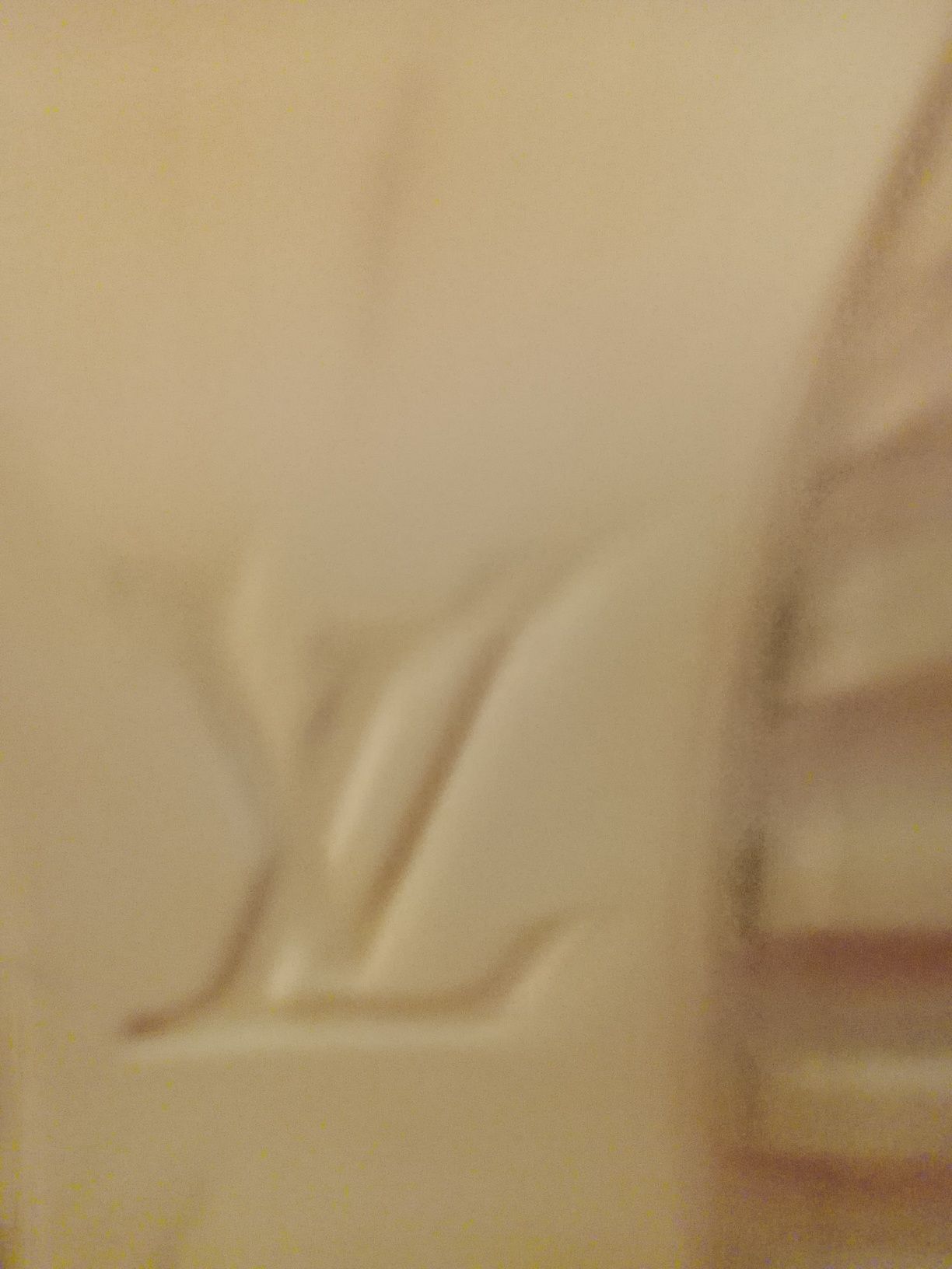 Tênis couro  Louis Vuitton ORIGINAL