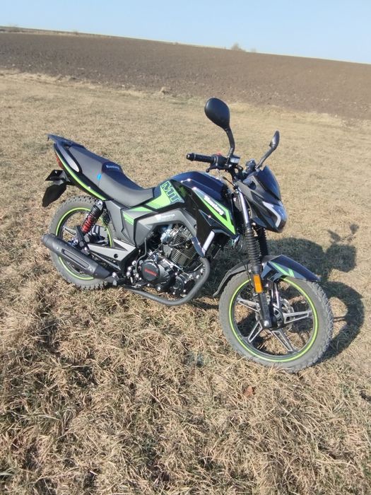 Musstang Region mt250