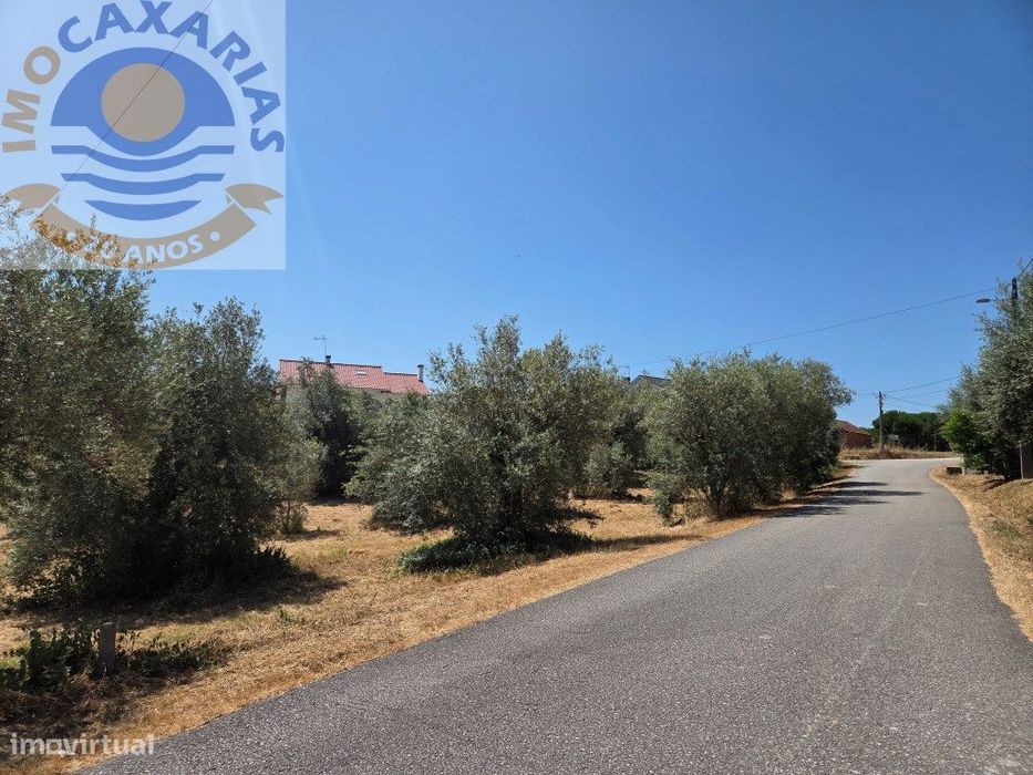Terreno Exclusivo com 950m² em Casal dos Bernardos, Ourém - Ideal p...
