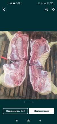 Продам мясо свинина домашне