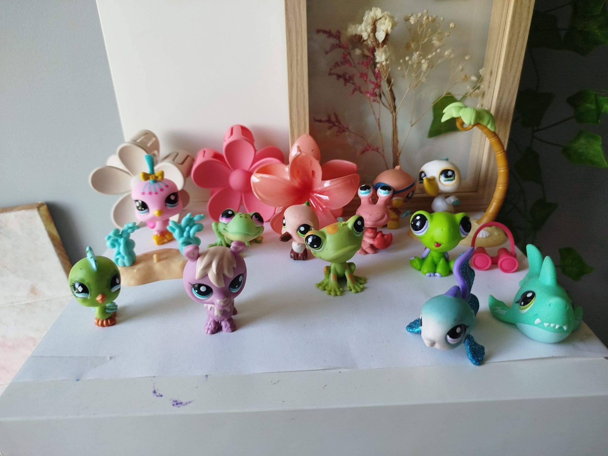 Litls pet shopyy