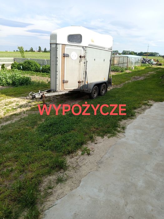 Wypożycze przyczepka przyczepa bukmanka bydło konie odsadki cielak