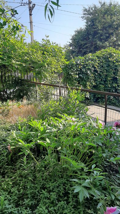 СРОЧНАЯ ПРОДАЖА. Дом 2 этажа, цокольный, Зеленый, Шевченковский