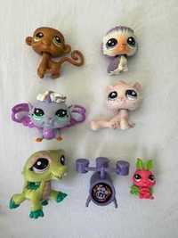 lps zestaw littlest pet shop kotek, jeż, krokodyl, małpka, wróżka