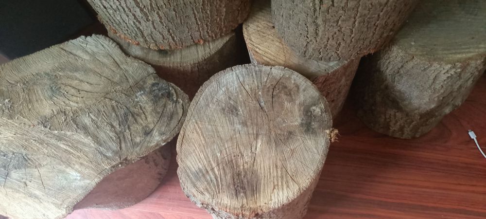 Pieńki drewniane zestaw