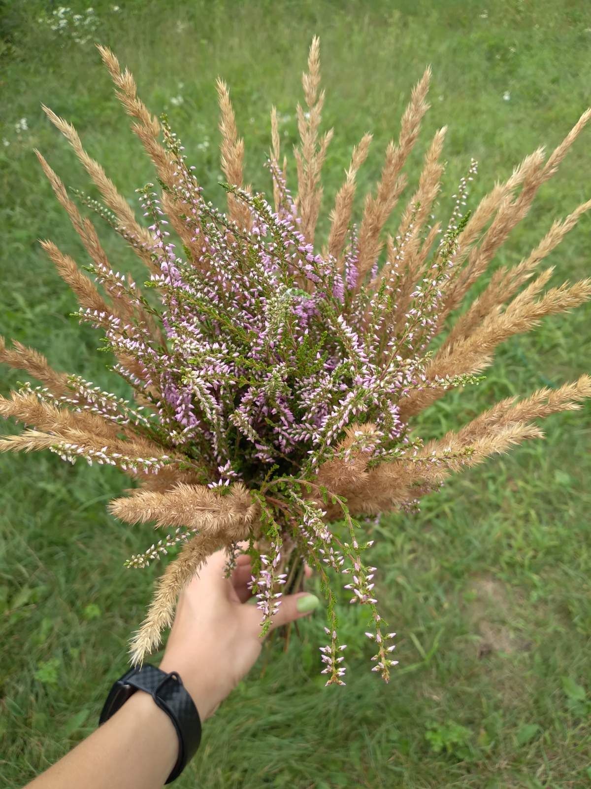 Декор для дома сухоцветы цветы срочно