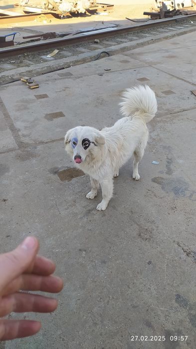 Прийму в подарунок бинокль