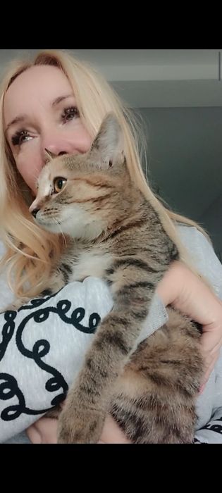 3miesięczna kotka szuka domu niewychodzącego