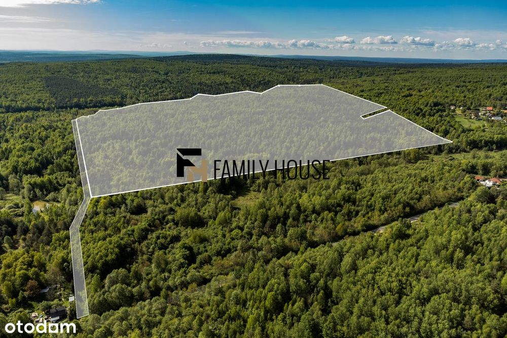 Działka inwestycyjna turystyczna 45,5ha z Mpzp