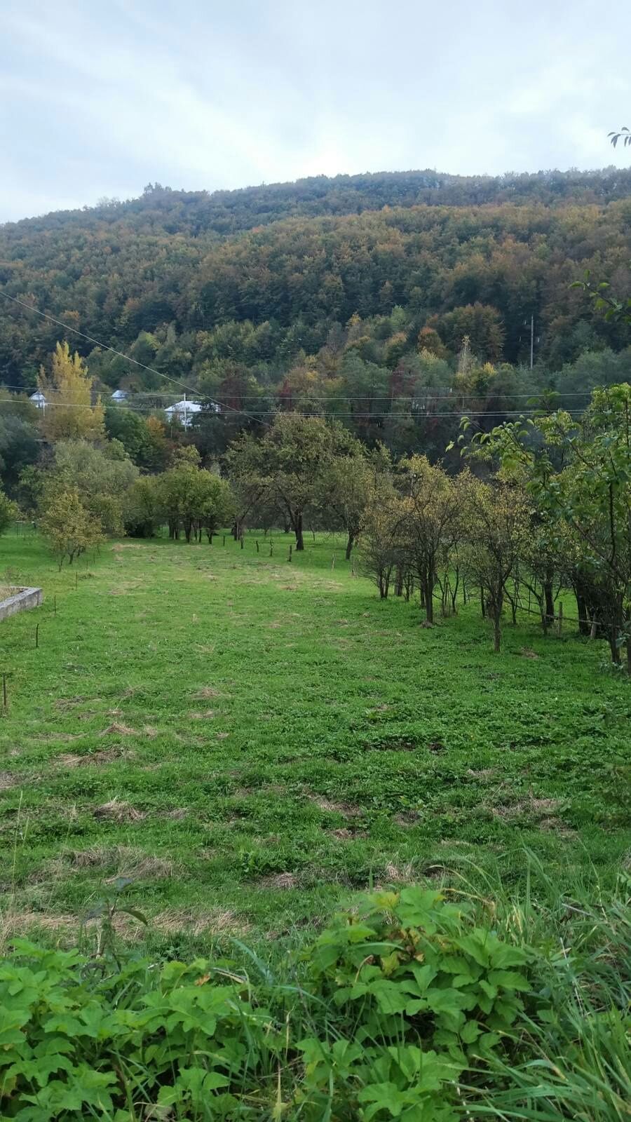 Земельна ділянка біля комплексу "Байка" в Карпатах..Косів