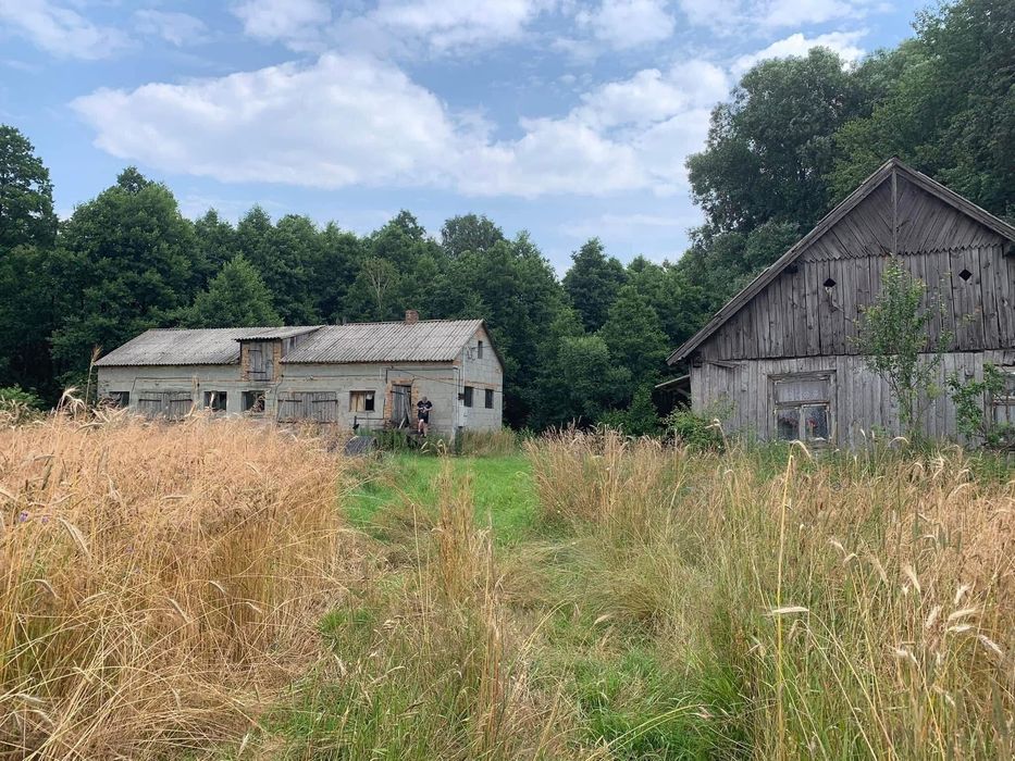 Siedlisko 2,32 ha Strachocin Stary mazowieckie