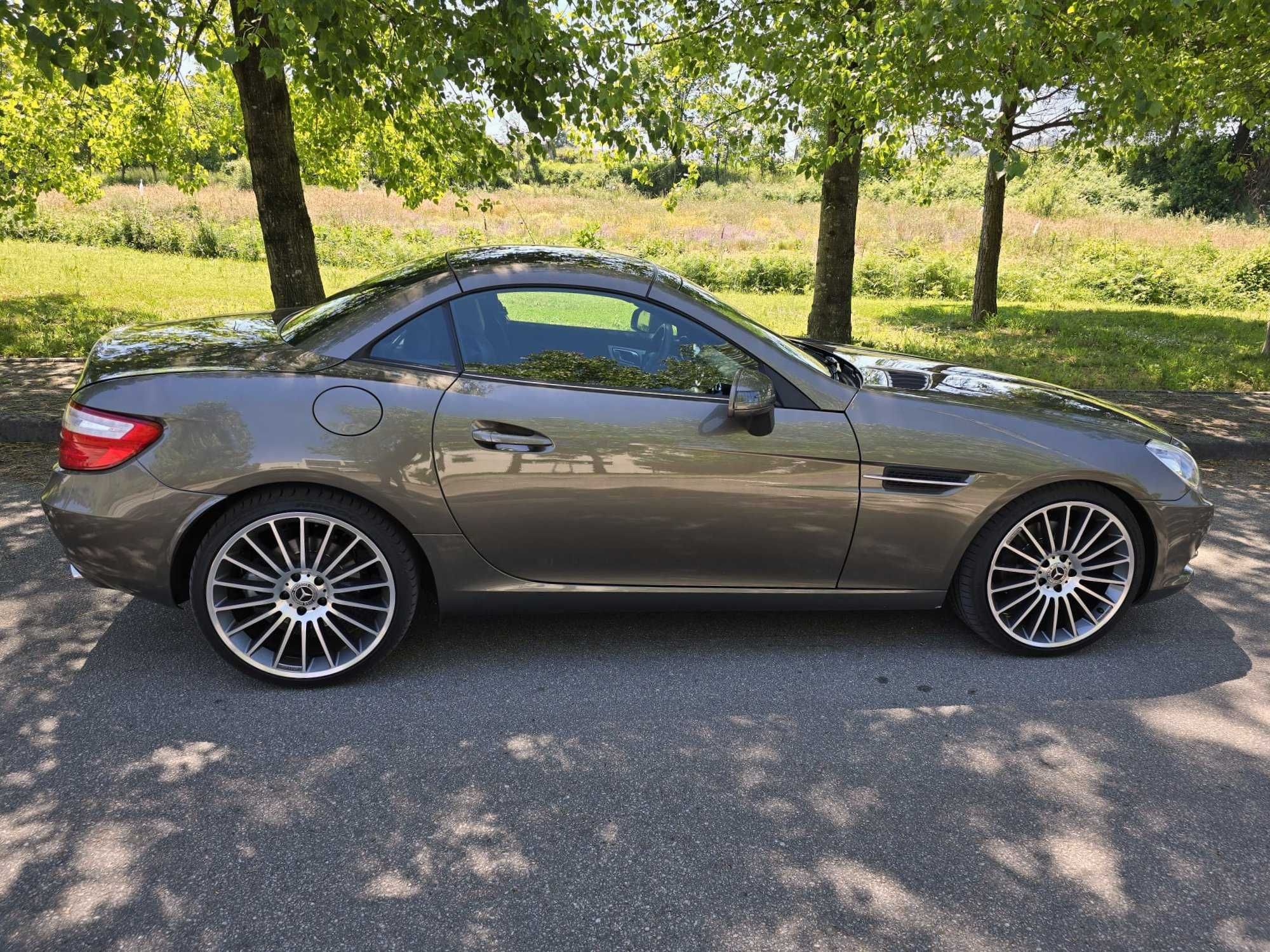 Mercedes-Benz SLK 250 CDI (BlueEFFICIENCY) 7G-TRONIC