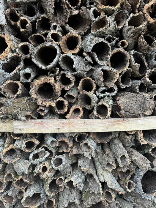 Tubos de cortiça 100% natural – Ideal para terrários e decoração