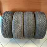 Opony 205/55 R16 91T PAXARO ZIMA