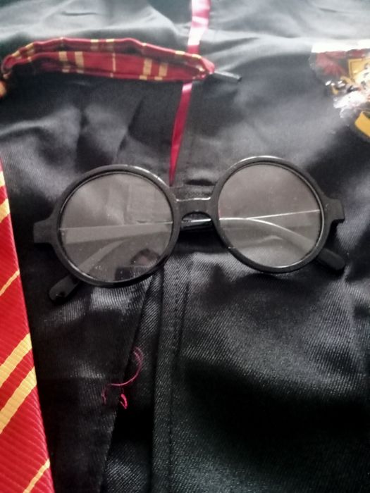 Disfarce carnaval Harry Potter
