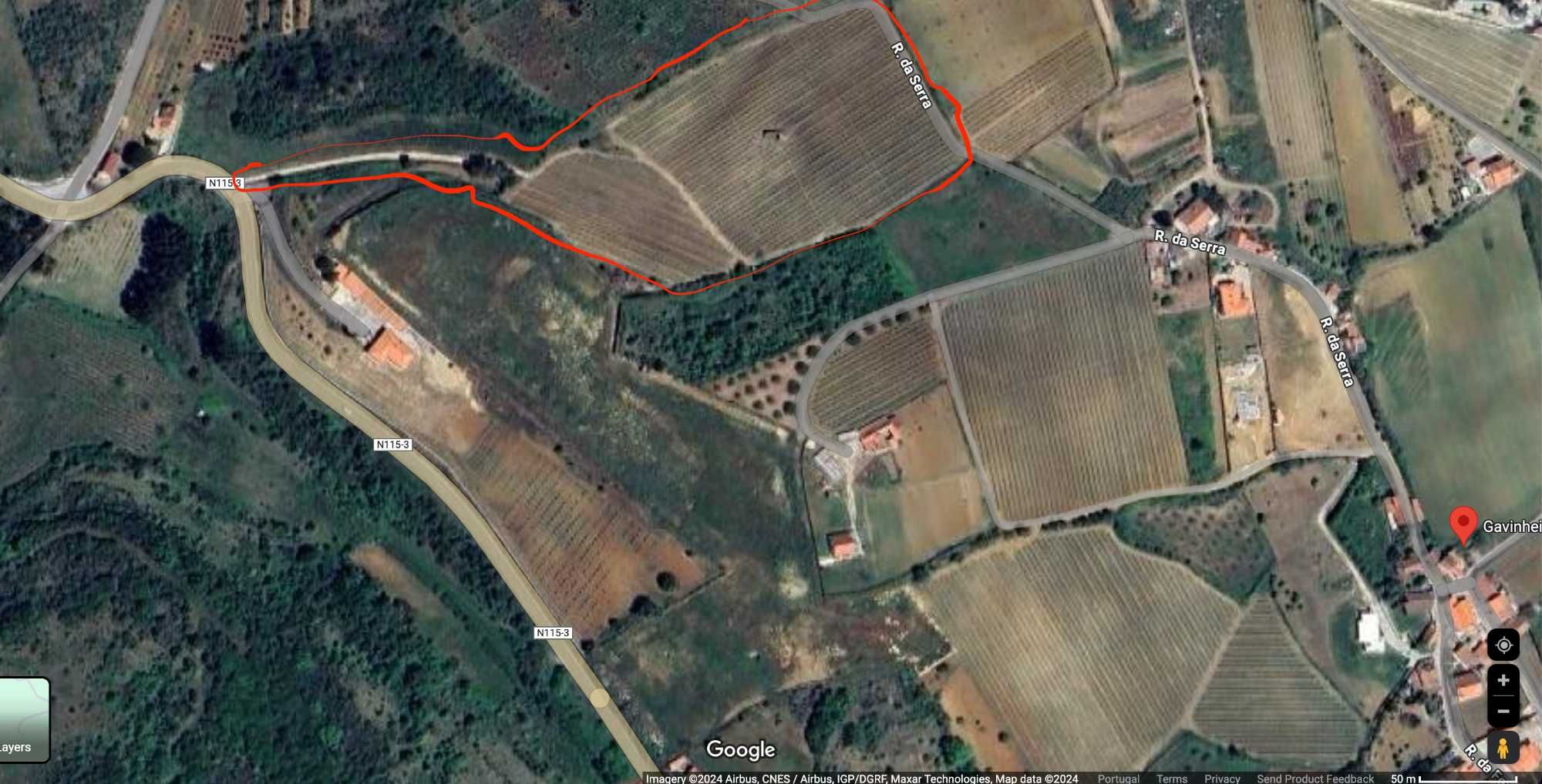 2 hectares vinha com lote moradia para quintas ou enoturismo