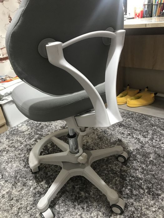 Дитяче крісло ErgoKids Mio Classic