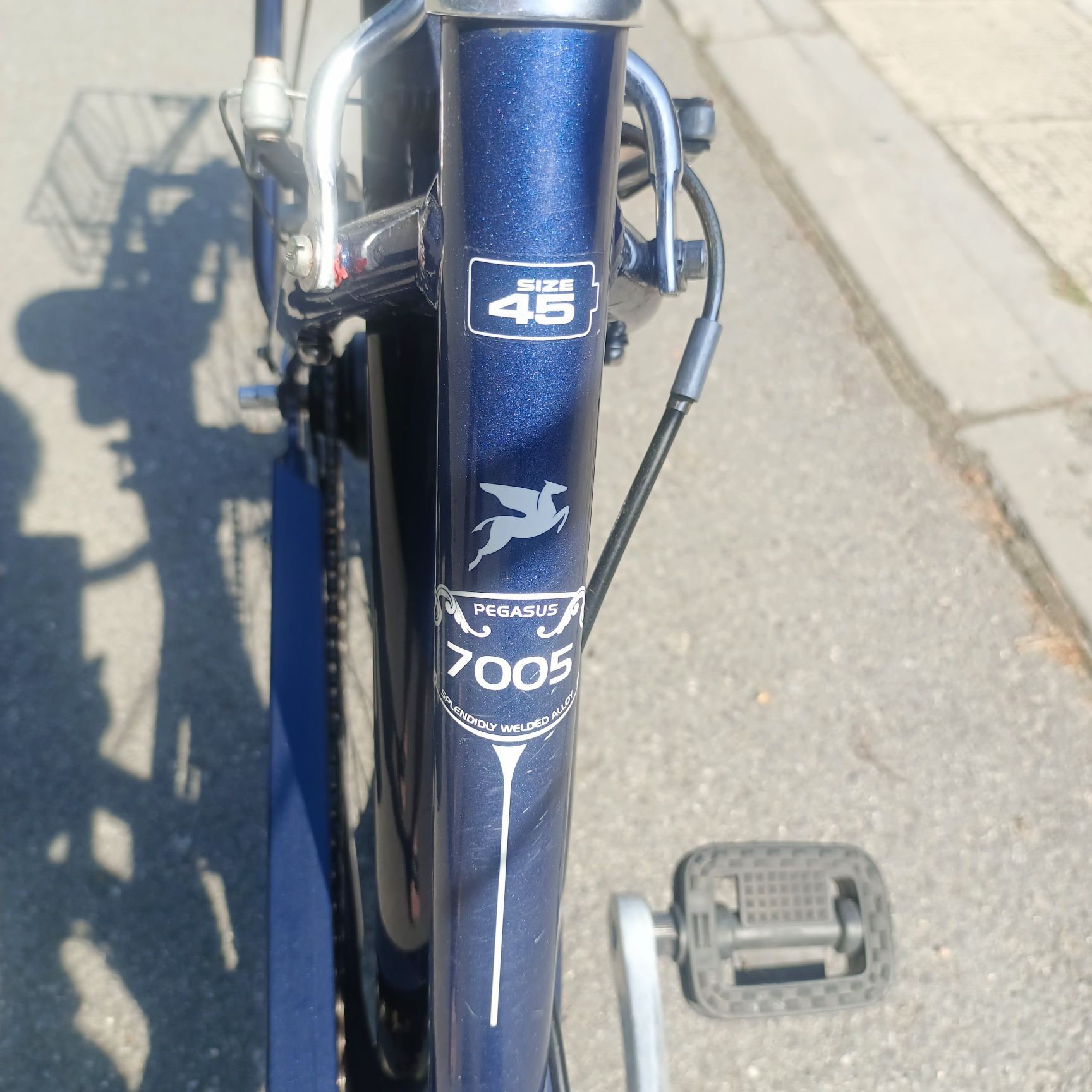 Rower Pegasus damka