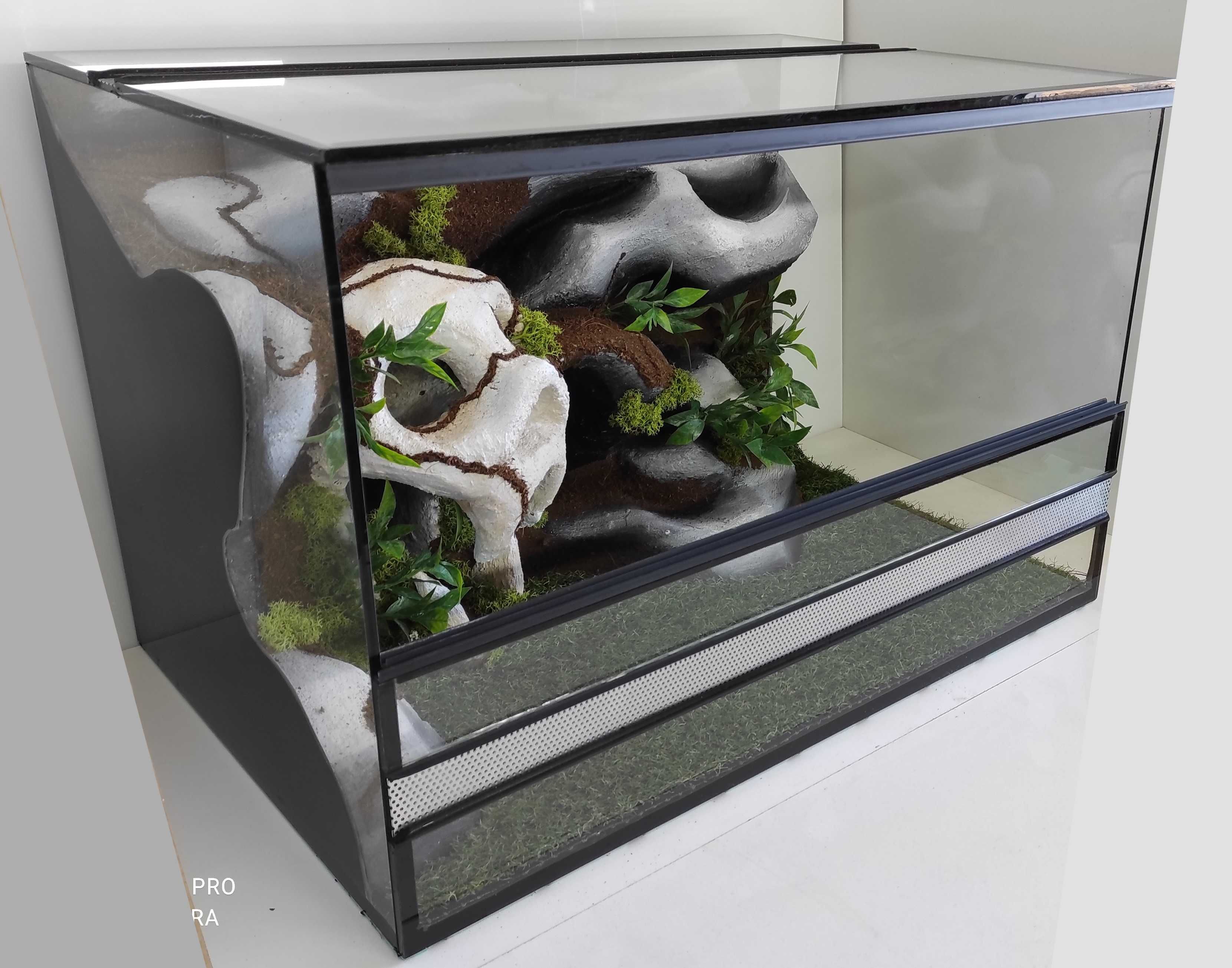 Terrarium dla gekona lamparciego z czaszką, TW10Cz, AquaWaves