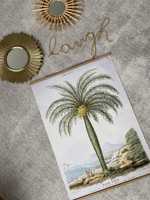 Plakat Westwing obrazek obraz palma boho