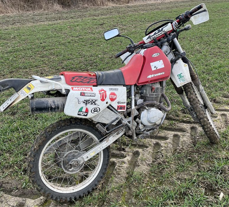 Cross Honda 125cm