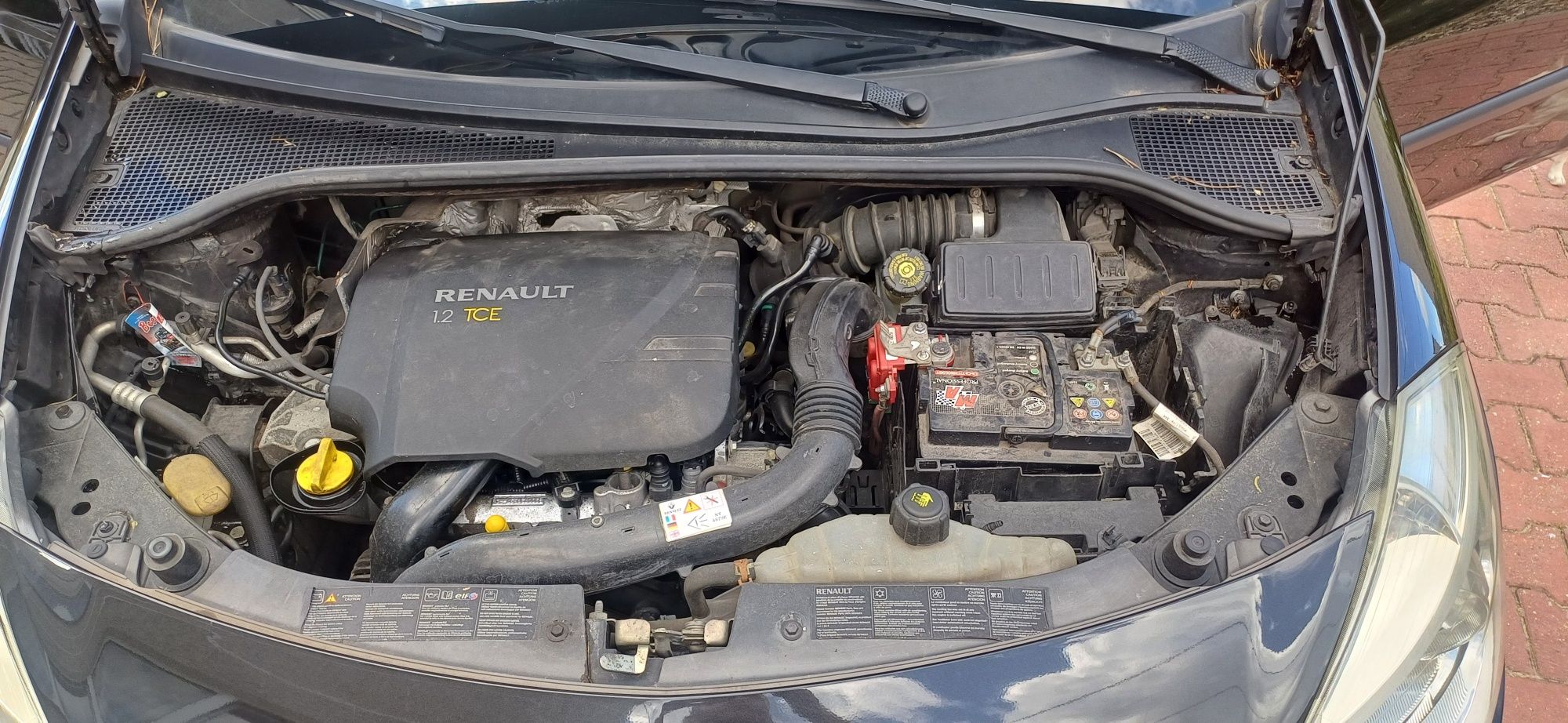 Renault Clio III 1.2 RIPCURL  2007rok Klima
