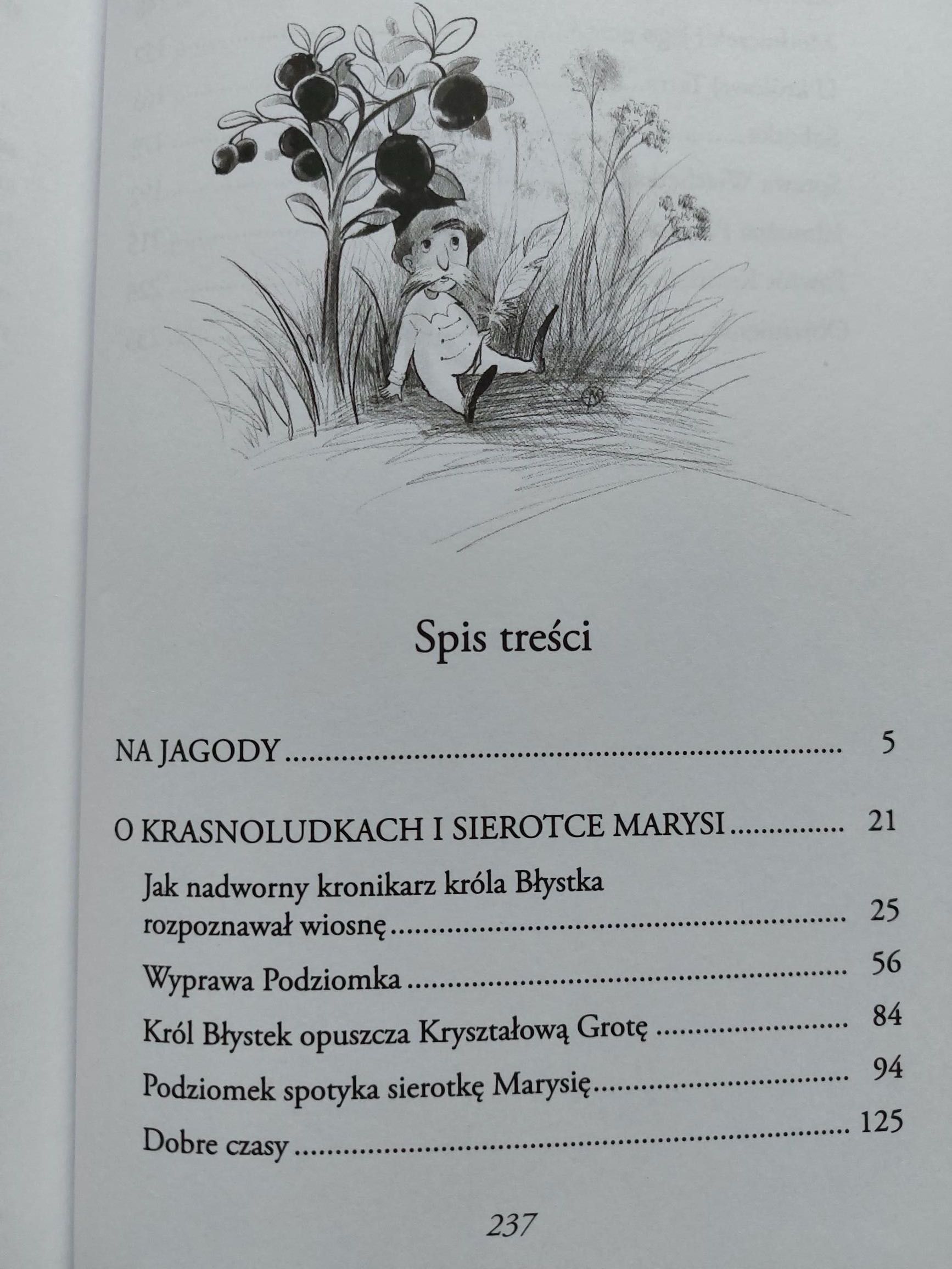 Na jagody, O krasnoludkach i sierotce Marysi - Maria Konopnicka