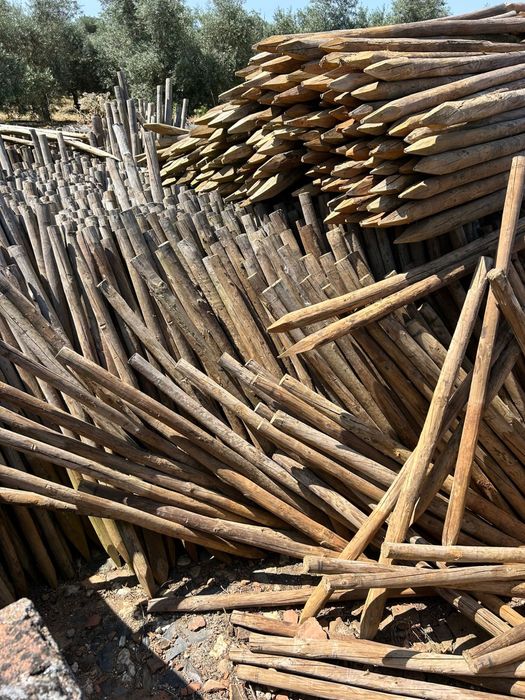 Tutores para plantacao de olival