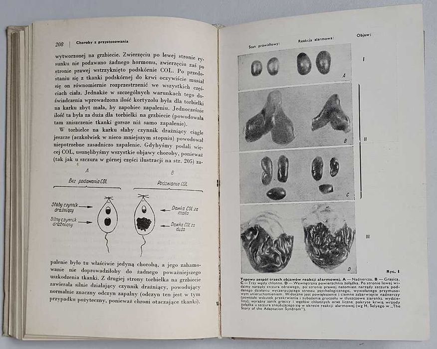 Stress życia Hans Selye 1960