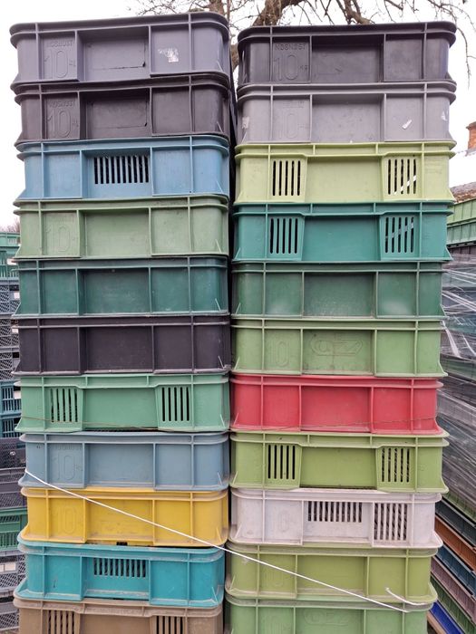 Skrzynki plastikowe 10kg Czeszki