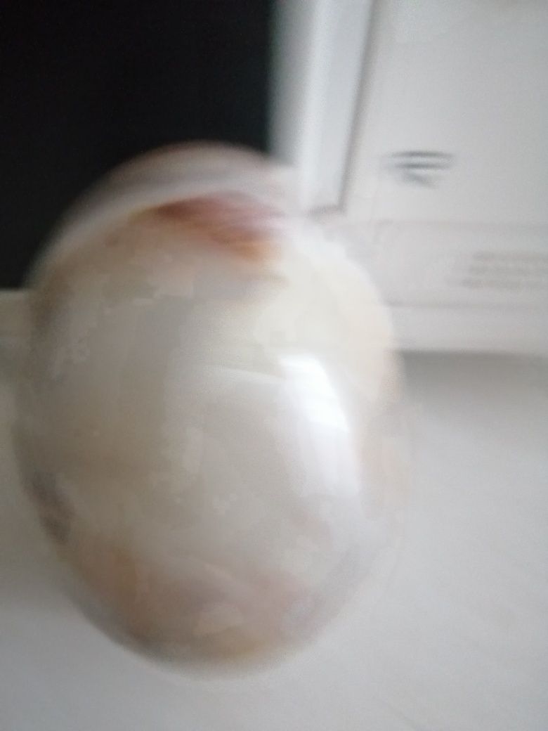 Jajo  jajo marmurowe