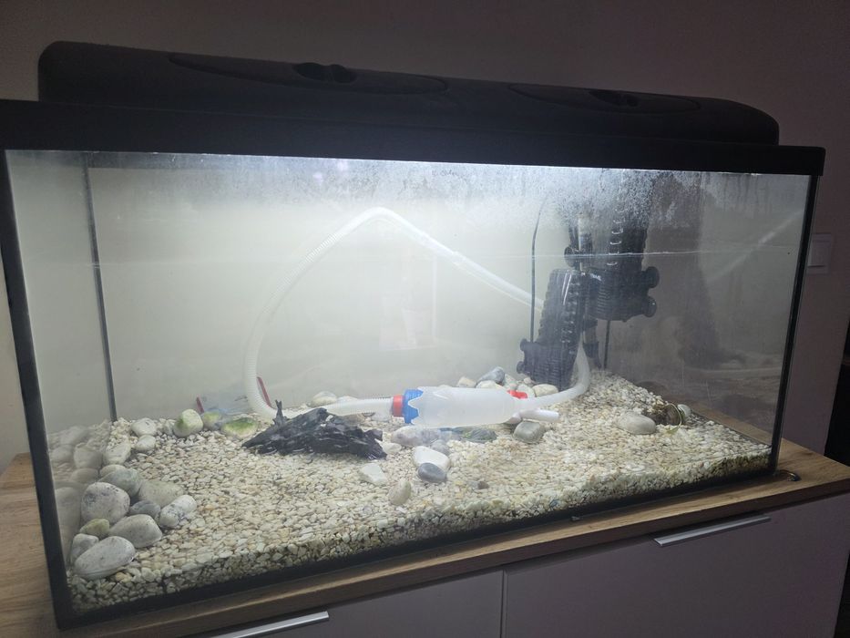 Akwarium 112 l + całe wyposażenie