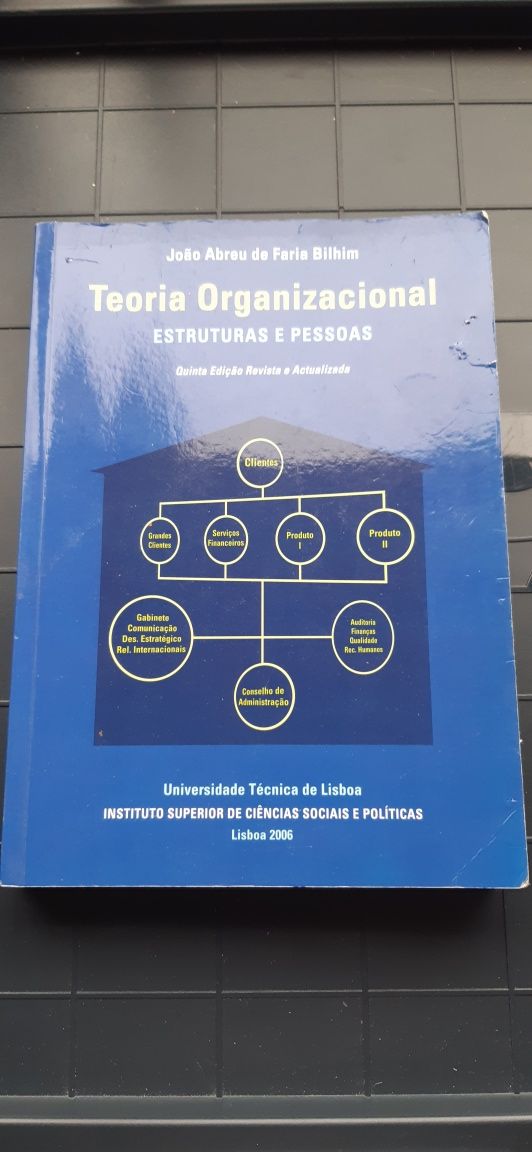 Teoria Organizacional Estruturas e Pessoas