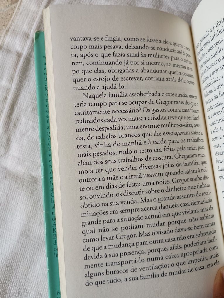 A Metamorfose (Franz Kafka)