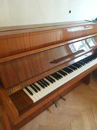 Pianino Calisia model M - 105