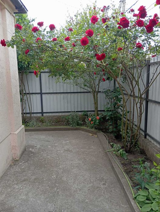 2 комнатная квартира на земле ул. Леси Украинки