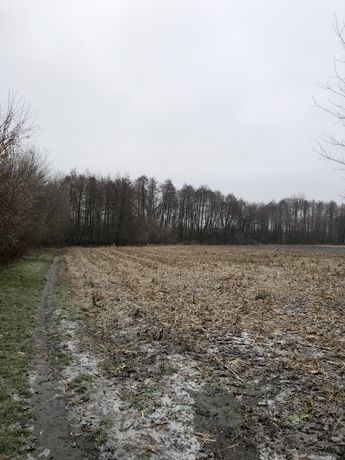 Продам земельну ділянку село Квітневе (Жовтневе) Попільня