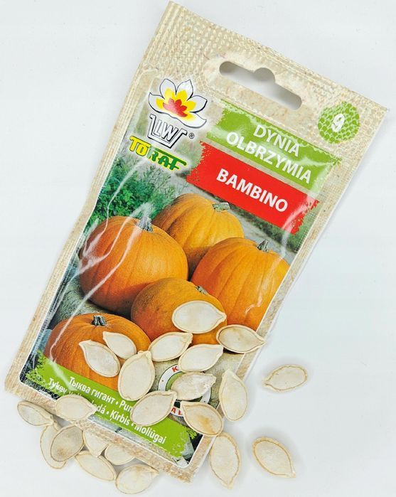 Dynia Olbrzymia BAMBINO (Cucurbita Maxima Duchesne) nasiona 20 sztuk