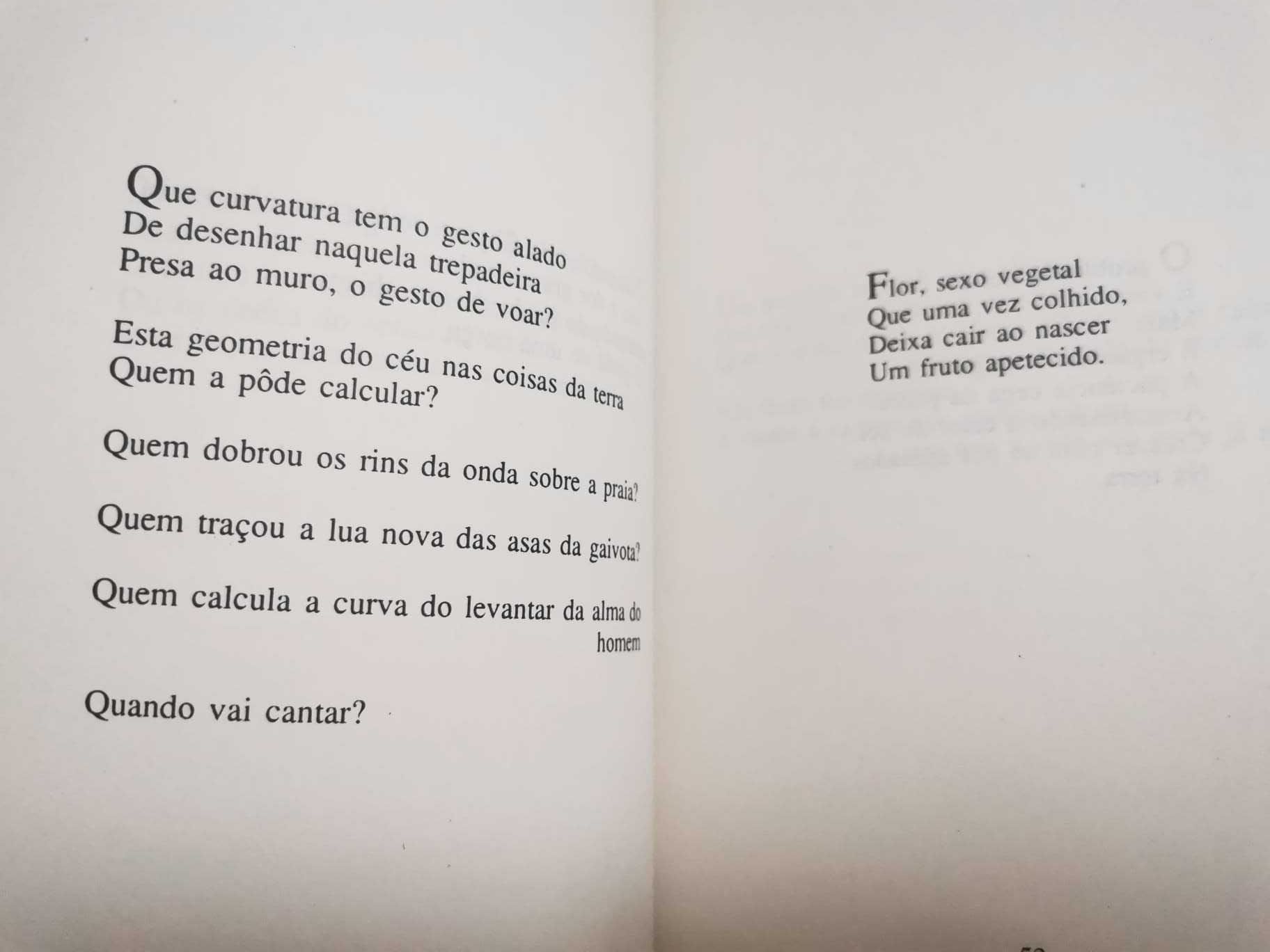Pássaro Azul - Joaquim Gomes Mota