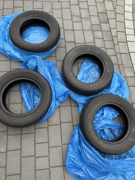 Komplet opon zimowych Dębica 195/65R15