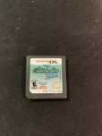 Gra NintendoDS the cheetahgirls