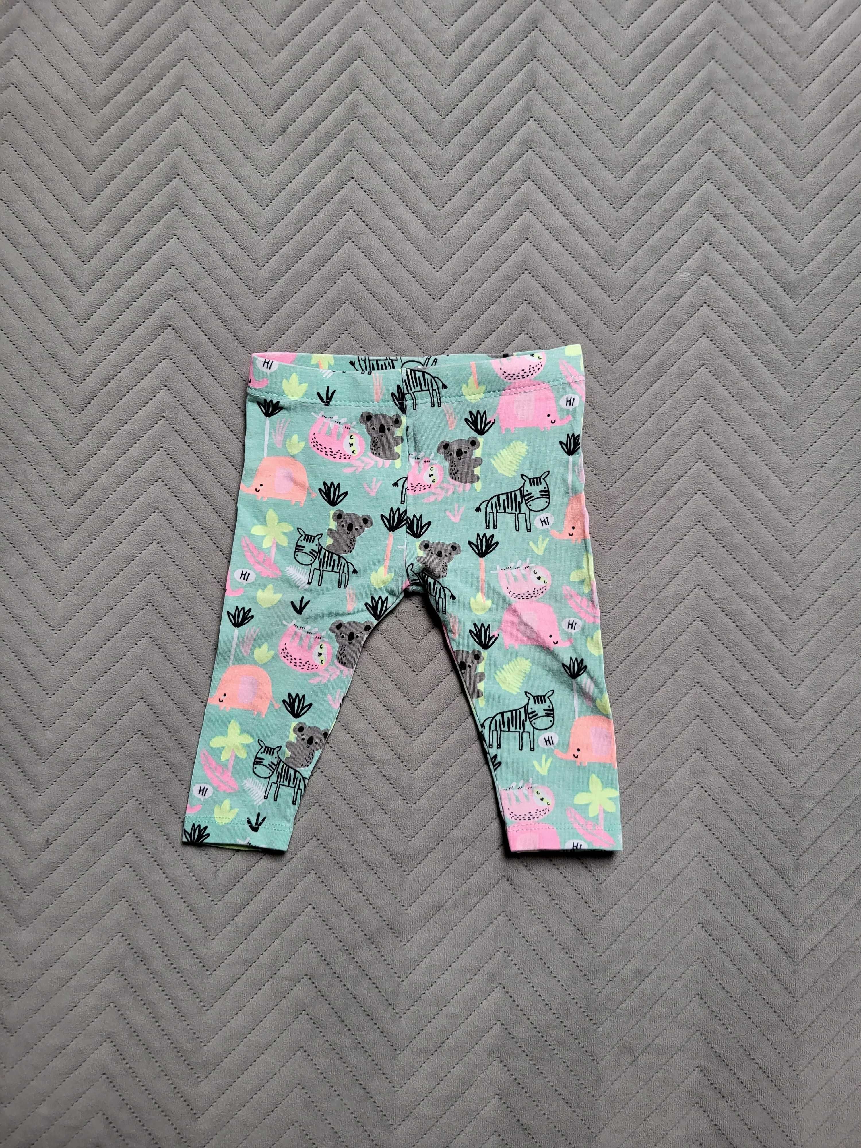 Legginsy kolorowe Pepco Baby 68