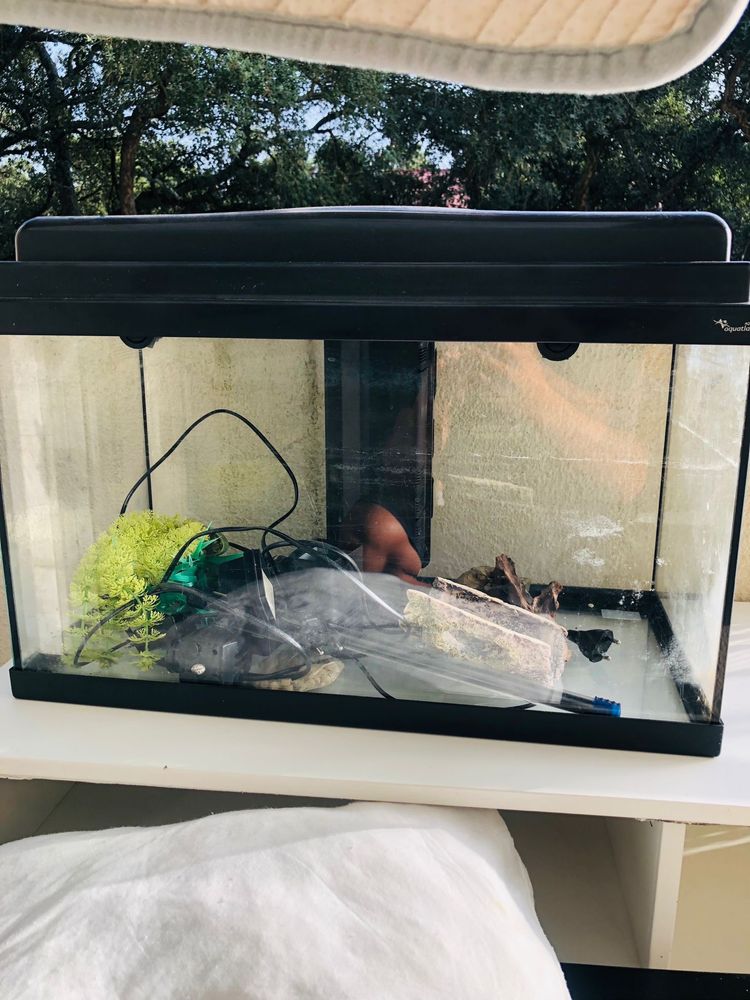 Vendo AQUARIO + aparador
