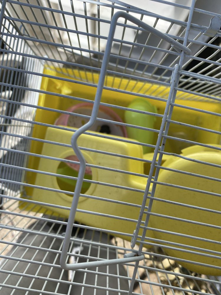 Gaiola de hamster